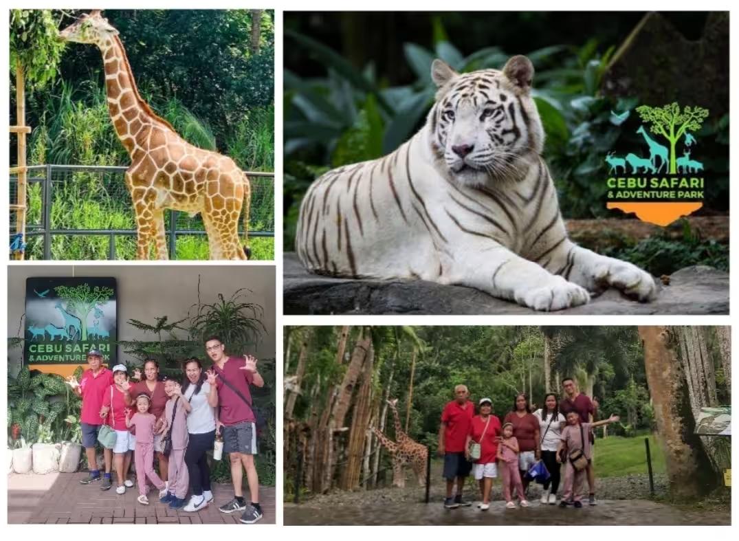 Cebu Safari Adventure Park tour package