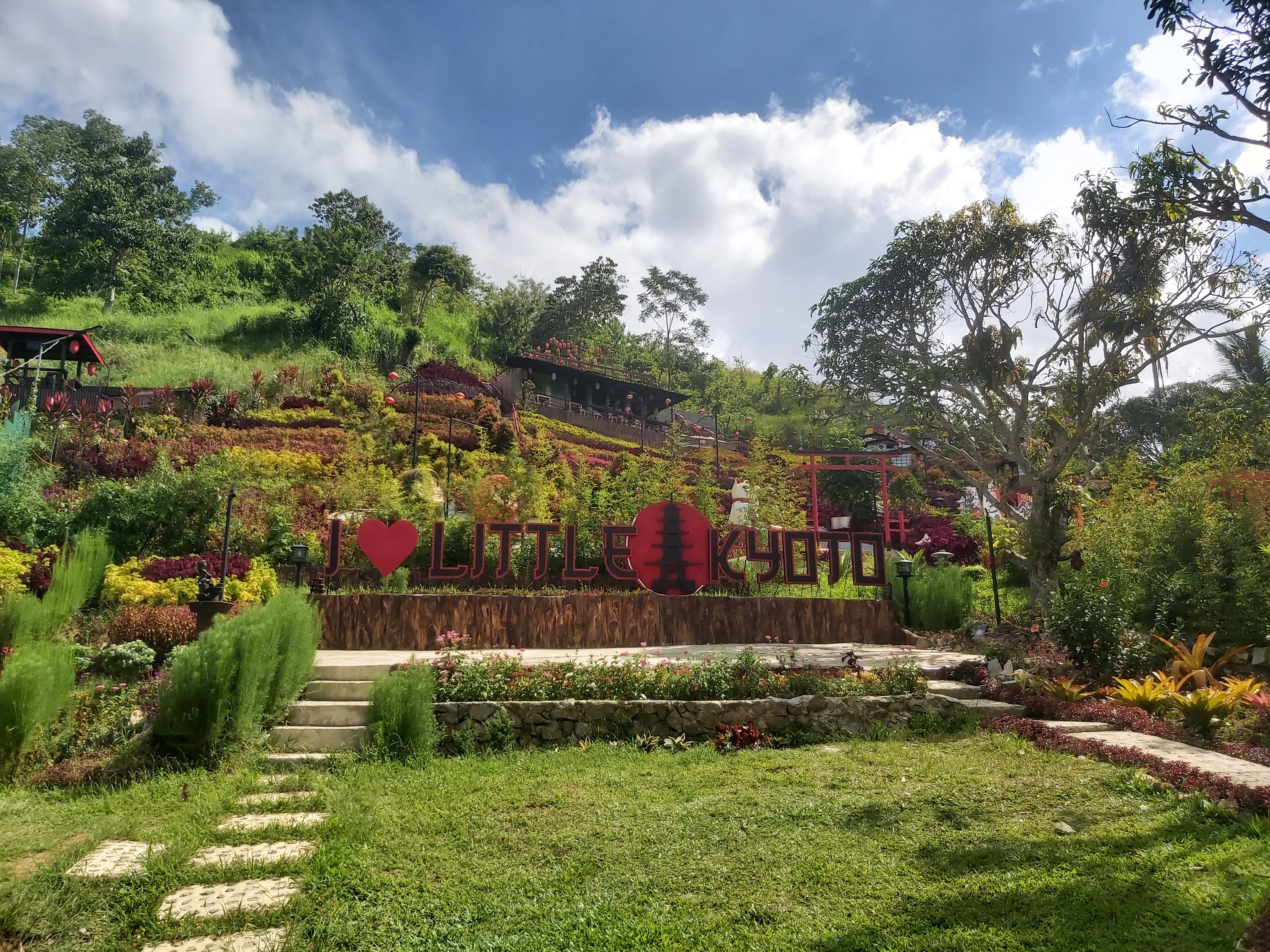 Cebu litle kyoto Flower Farm