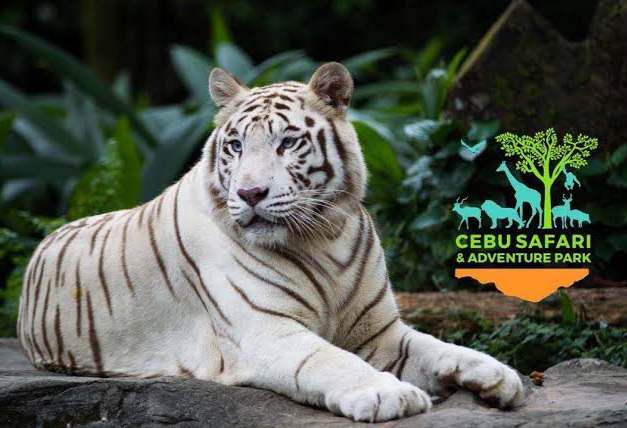 Cebu Safari Adventure Park Tour Package