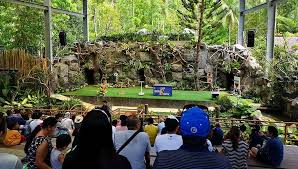 Cebu Safari Adventure Park Tour Package