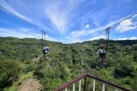 Cebu Safari Adventure Park Tour Package