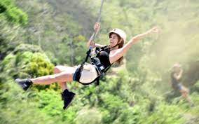 Cebu Safari Adventure Park Tour Package